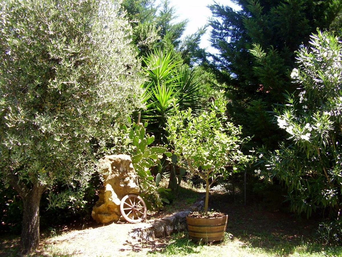 Podere Belvedere Cecina Cecina  Exteriér fotografie