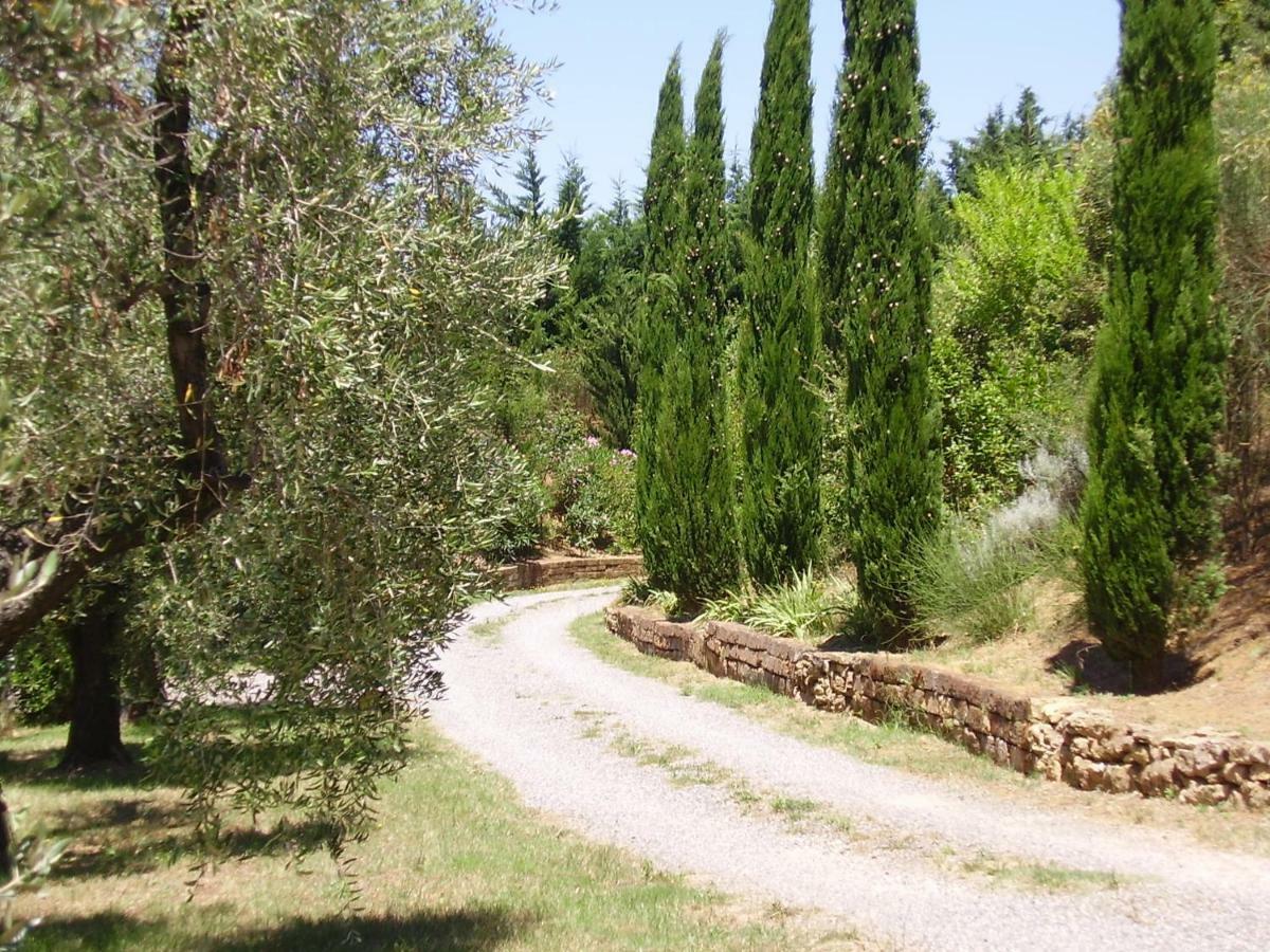 Podere Belvedere Cecina Cecina  Exteriér fotografie